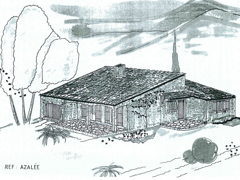 Azalee