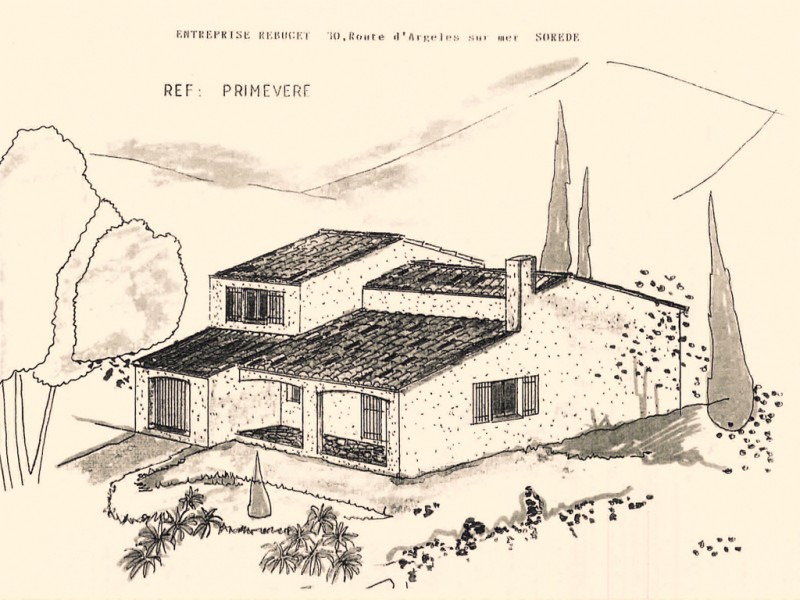 Primevere