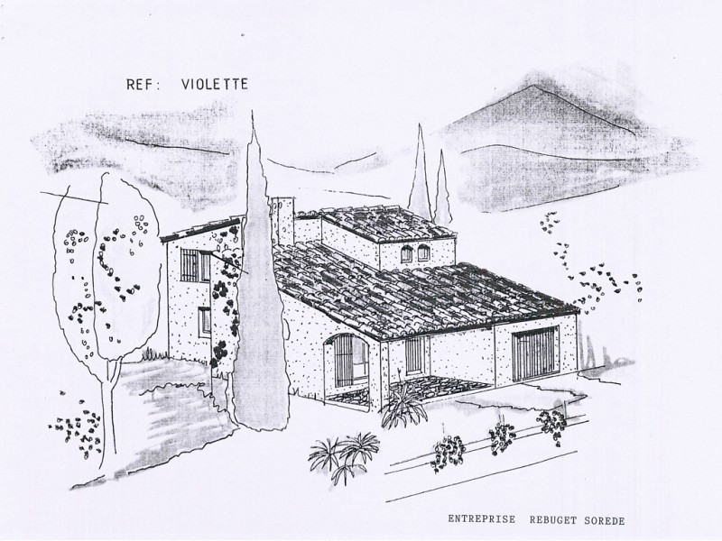 Violette